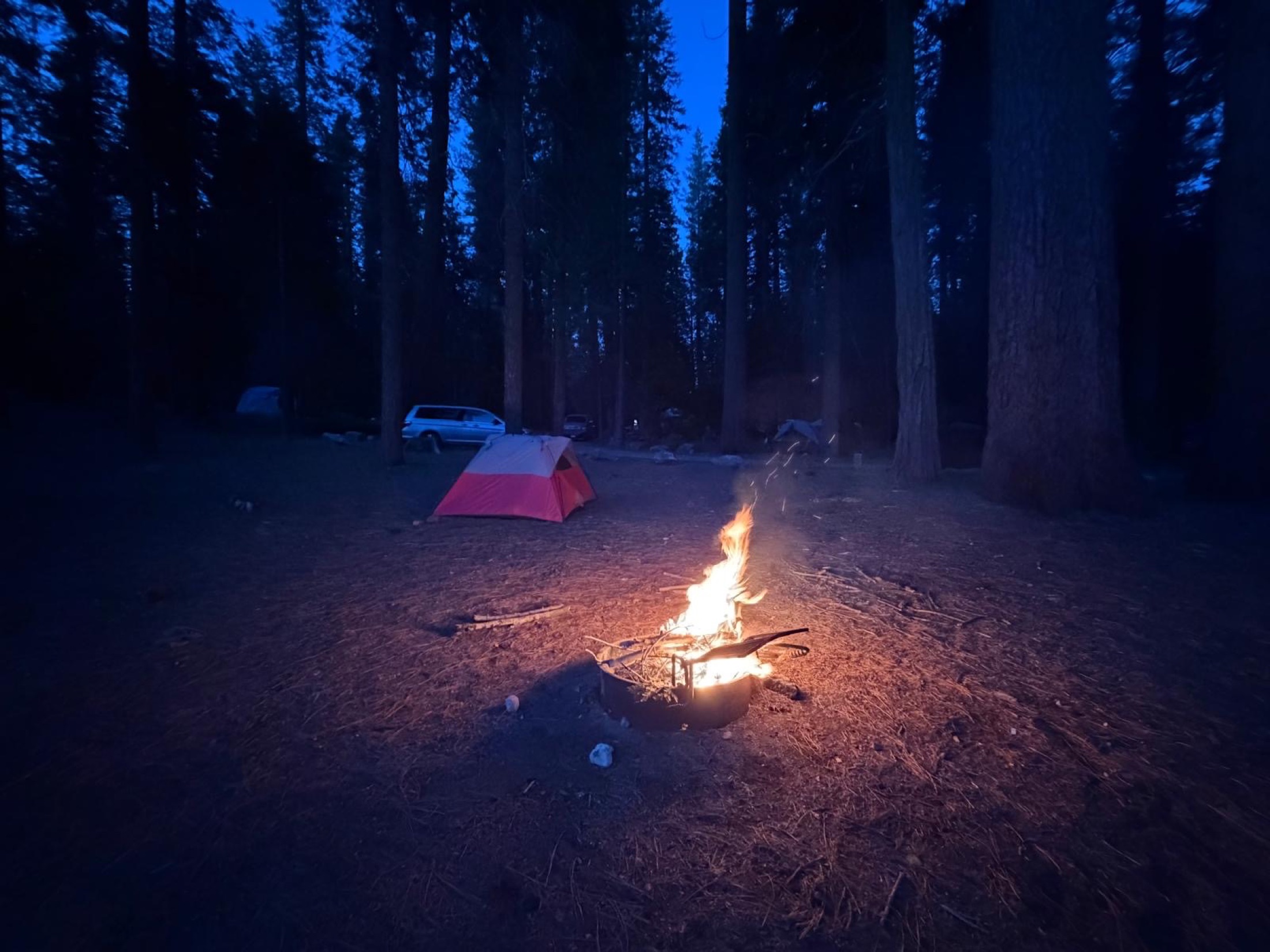 Pinecrest travel photograph 1