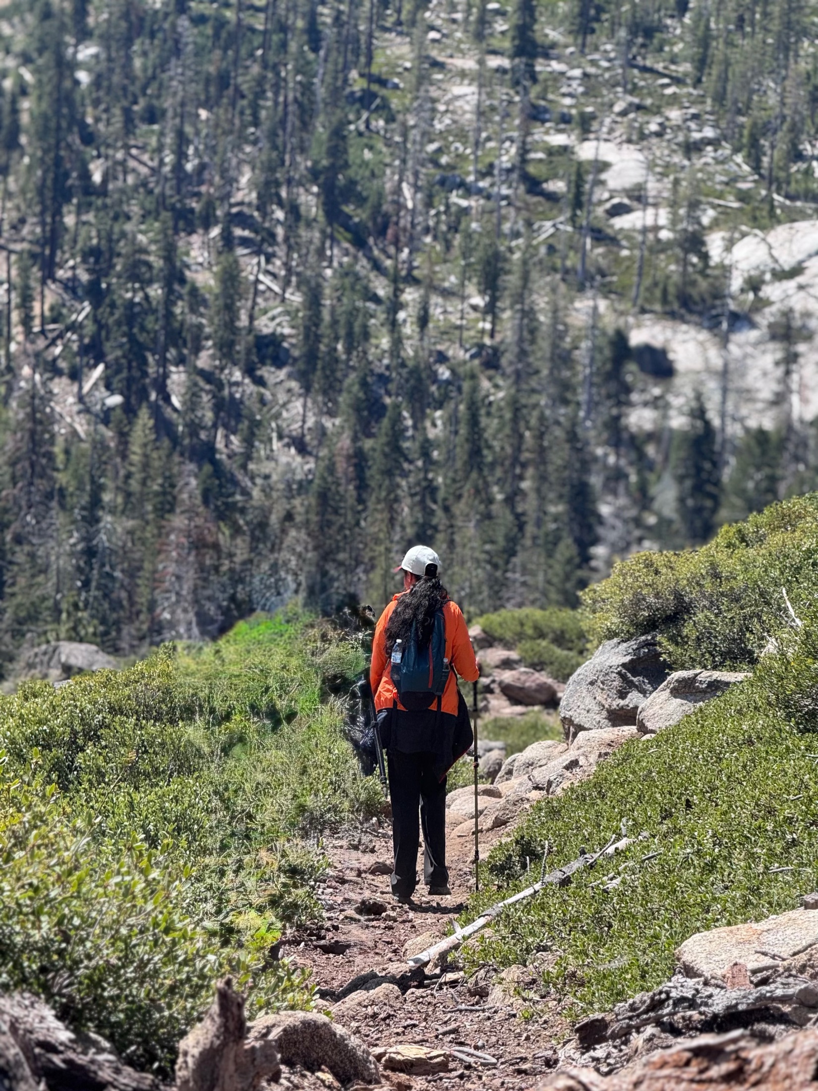 Pinecrest travel photograph 3