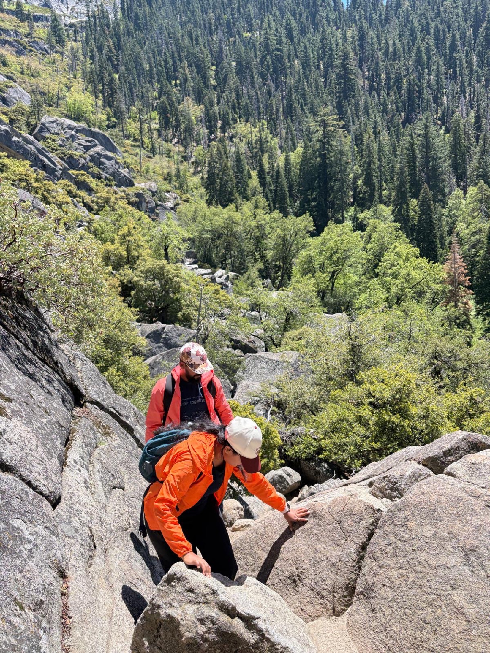 Pinecrest travel photograph 4